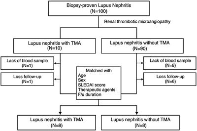 Complement Factor I Mutation May Contribute to Development of Thrombotic Microangiopathy in Lupus Nephritis